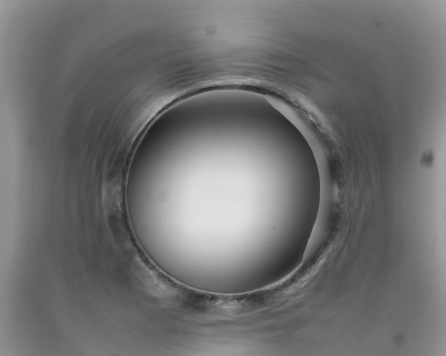 X0000092061177200709191135