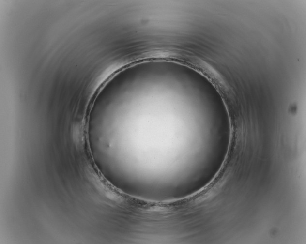 X0000092061178200709191135