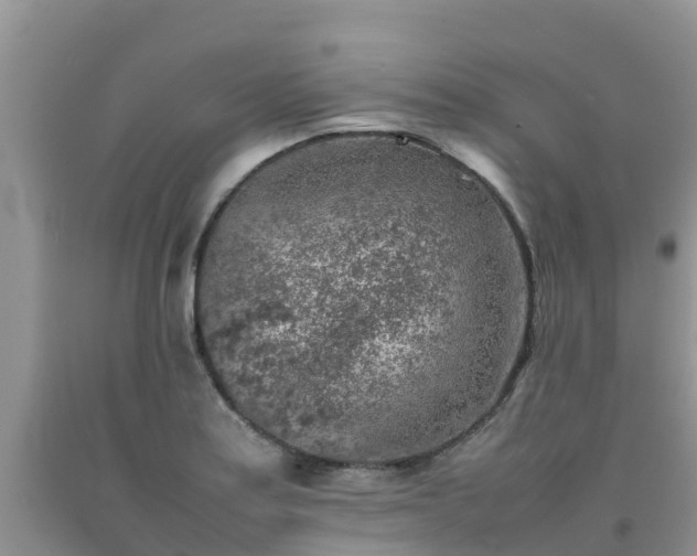 X0000092061179200709191135