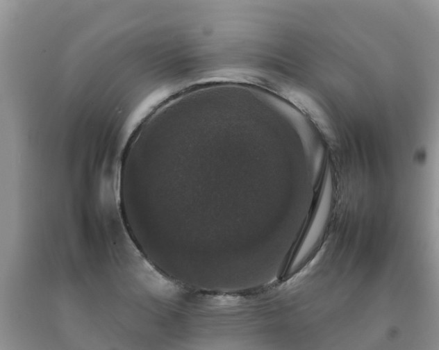 X0000092061180200709191135