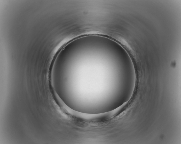 X0000092061181200709191135