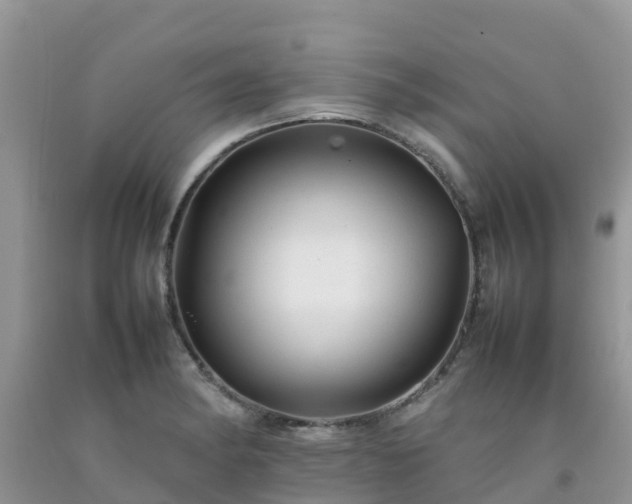 X0000092061182200709191135