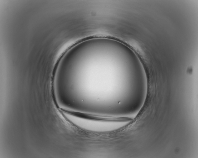 X0000092061183200709191135