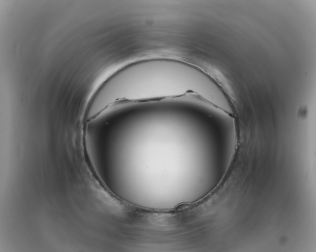 X0000092061184200709191135