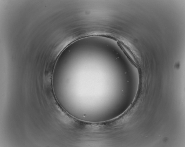 X0000092061185200709191135