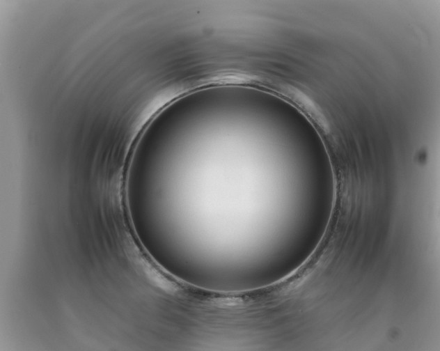 X0000092061186200709191135