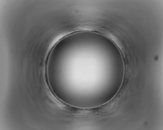 X0000092061187200709191135