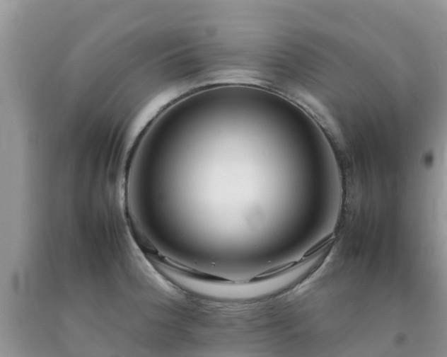 X0000092061188200709191135