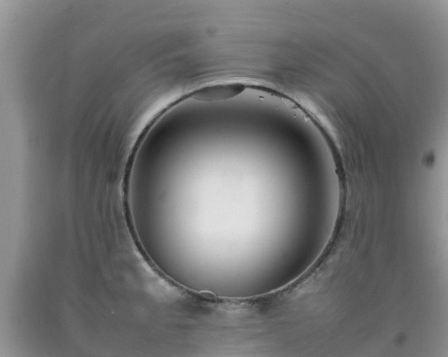 X0000092061189200709191135