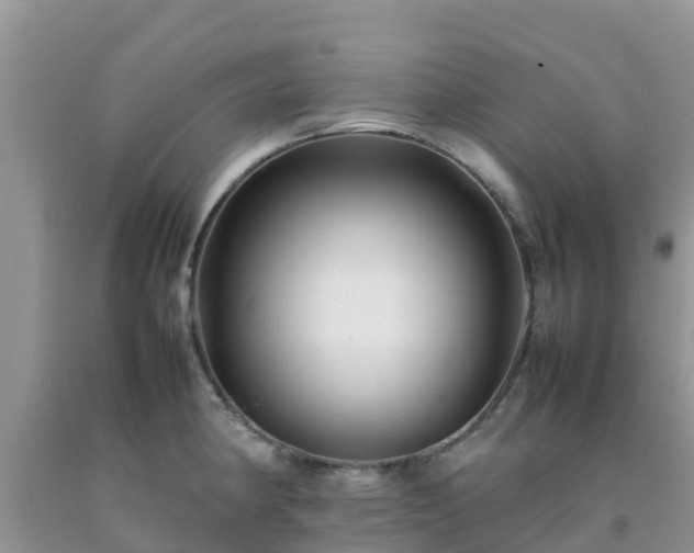 X0000092061190200709191135