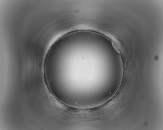 X0000092061191200709191135