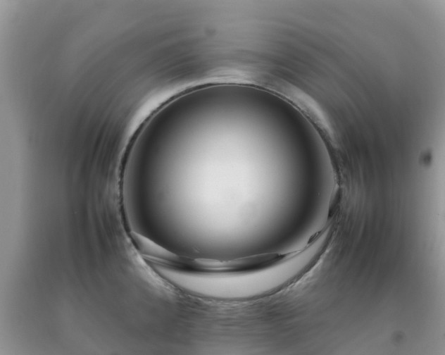 X0000092061192200709191135