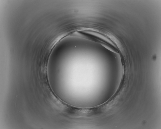 X0000092061193200709191135