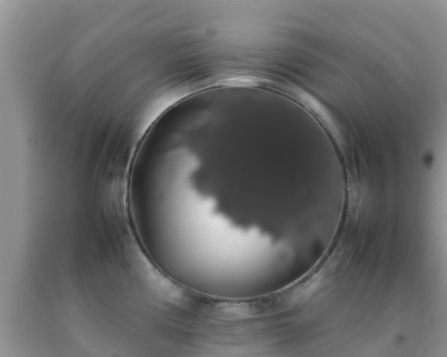 X0000092061194200709191135