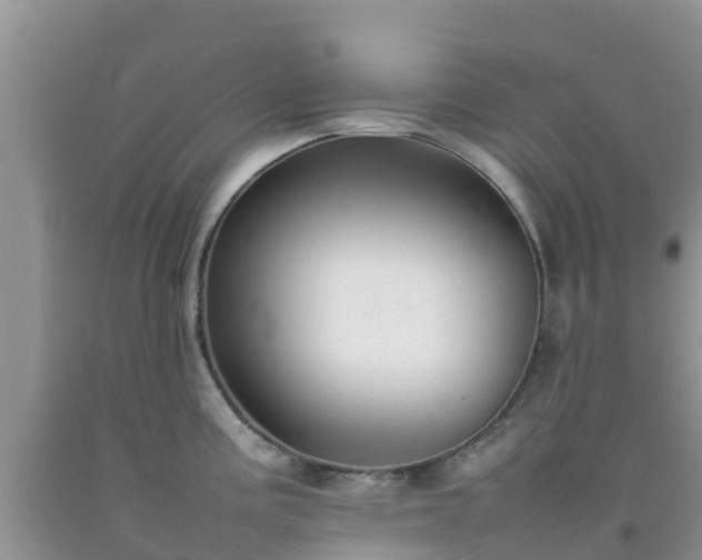 X0000092061195200709191135