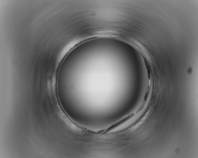 X0000092061196200709191135