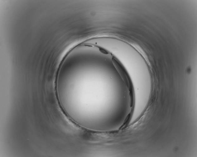 X0000092061197200709191135