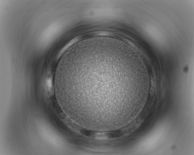 X0000092061198200709191135