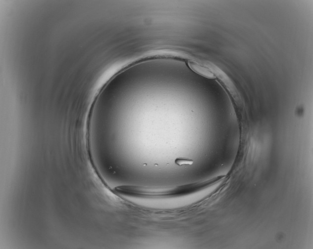 X0000092061199200709191135