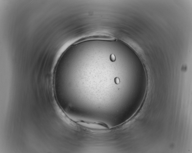 X0000092061200200709191135