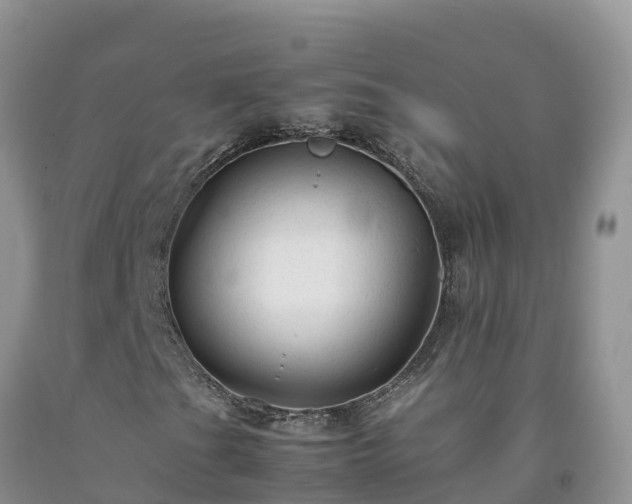 X0000092061201200709191134