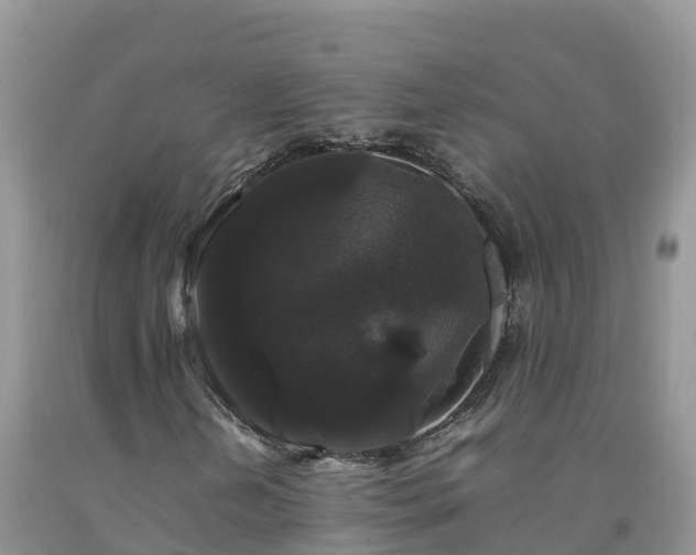 X0000092061202200709191134