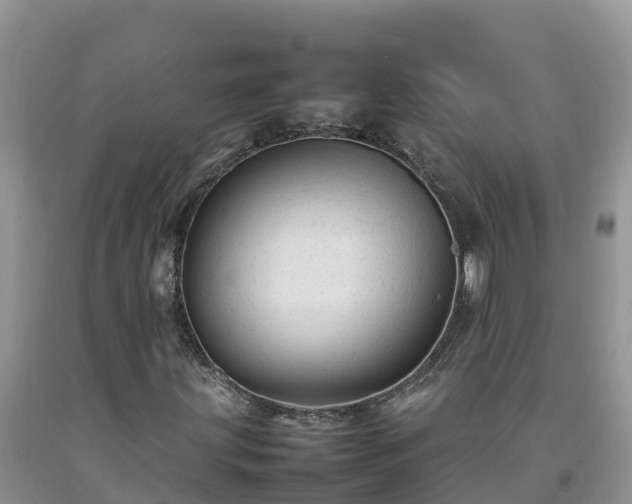 X0000092061203200709191134