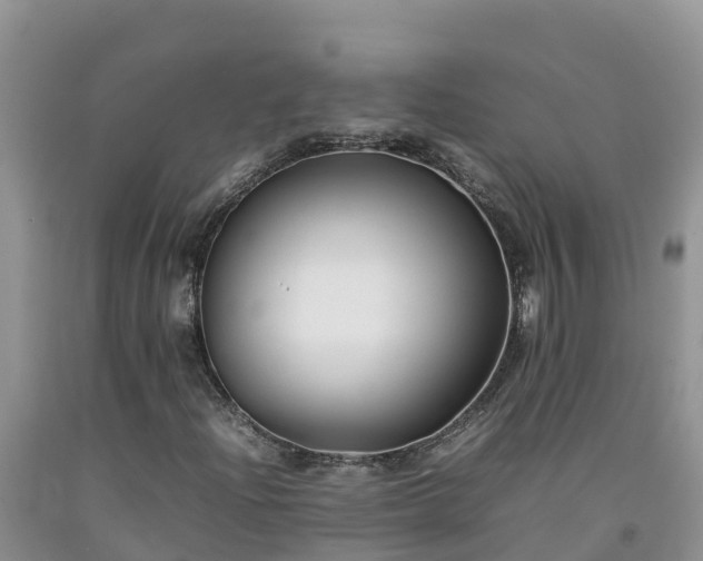 X0000092061204200709191134