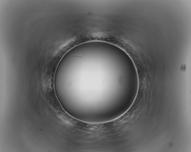 X0000092061205200709191134