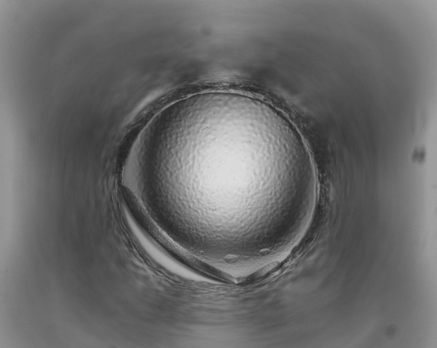 X0000092061206200709191134