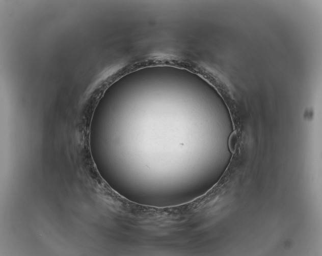 X0000092061207200709191134