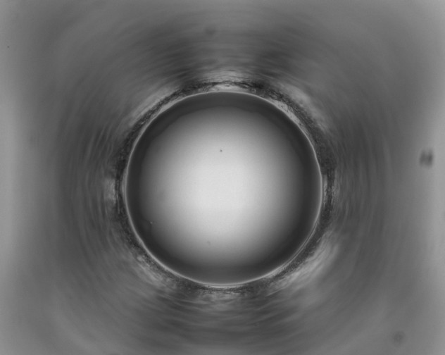 X0000092061209200709191134