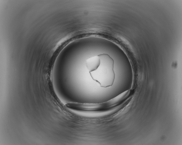 X0000092061210200709191134