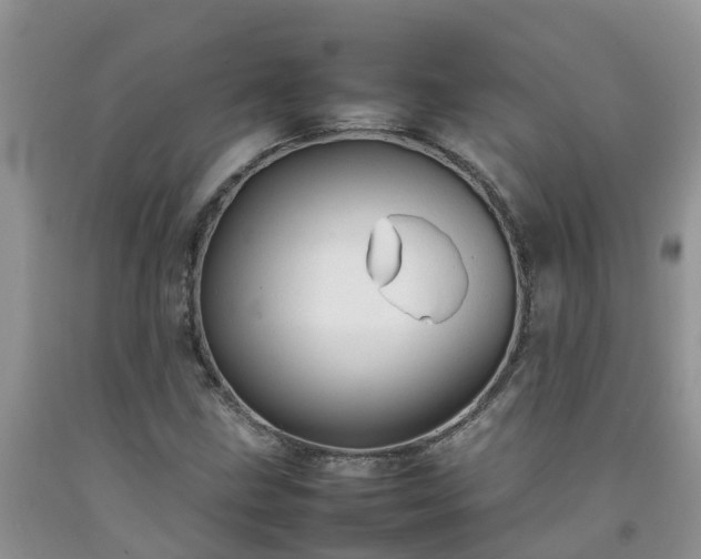 X0000092061211200709191134