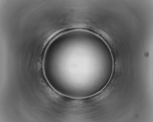 X0000092061212200709191134