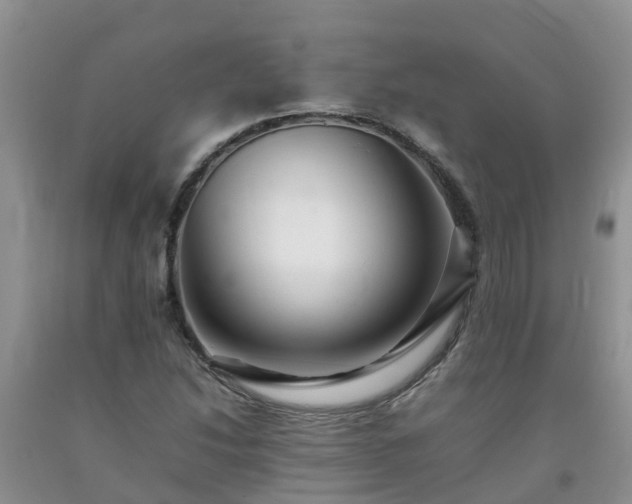 X0000092061214200709191134