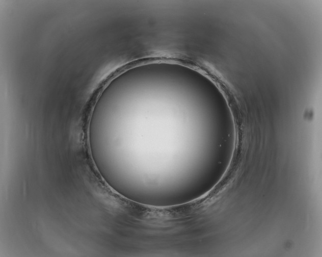 X0000092061215200709191134