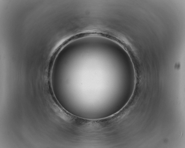 X0000092061216200709191134