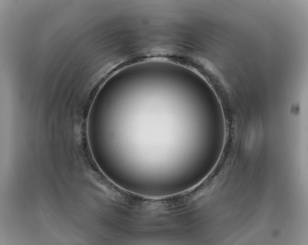 X0000092061217200709191134