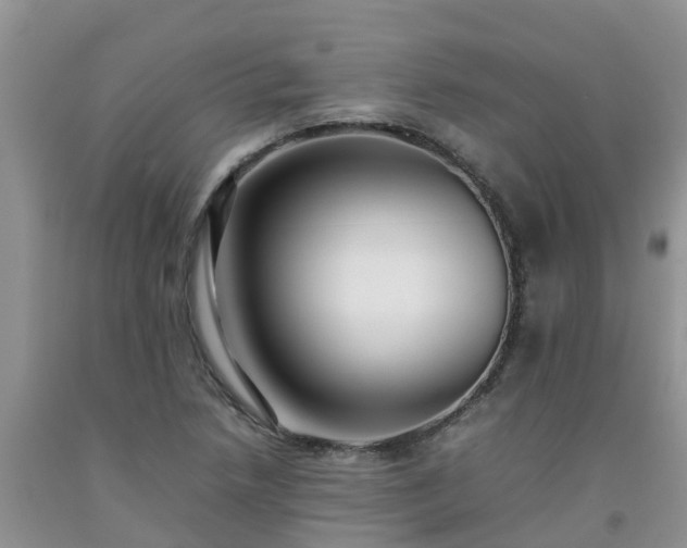 X0000092061218200709191134