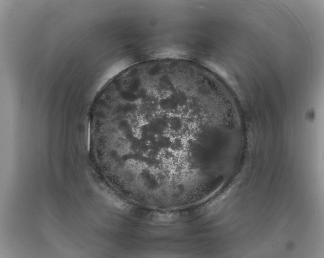 X0000092061219200709191134