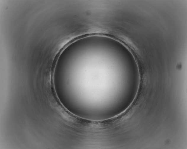 X0000092061220200709191134