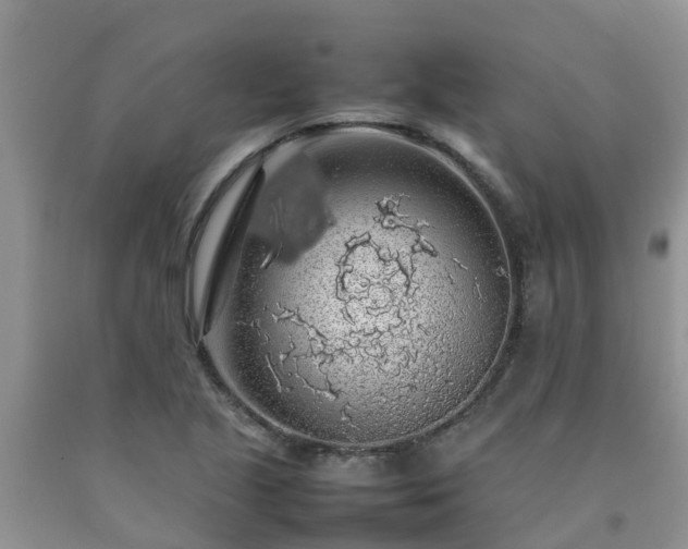 X0000092061221200709191134