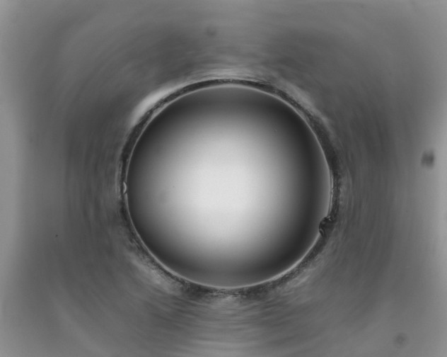 X0000092061222200709191134