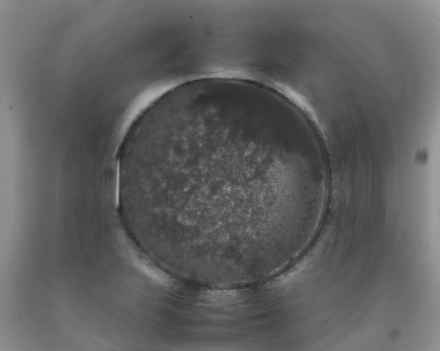 X0000092061223200709191134