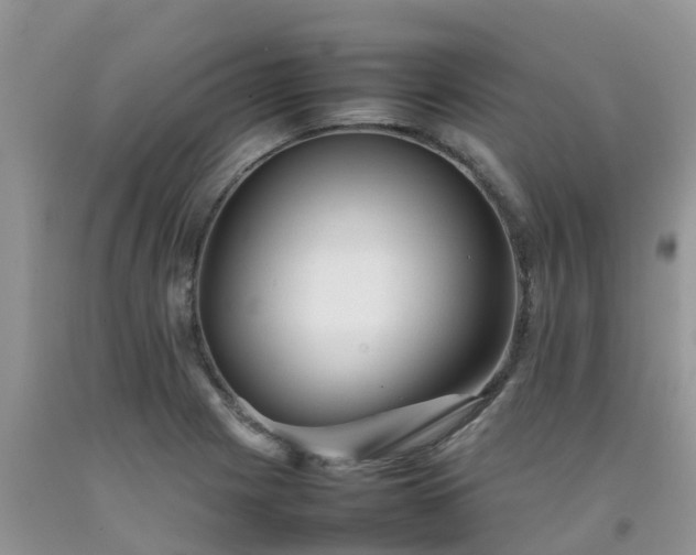 X0000092061225200709191134