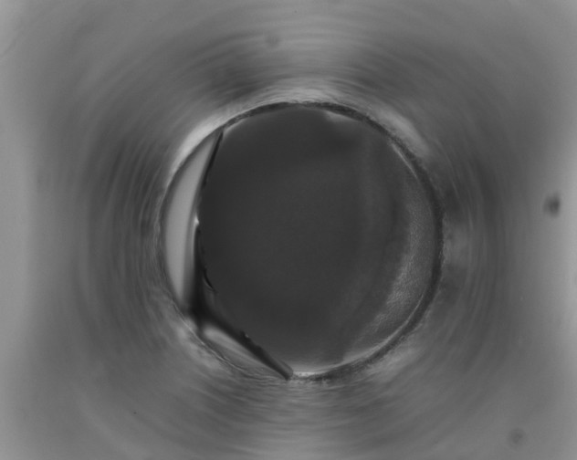 X0000092061226200709191134