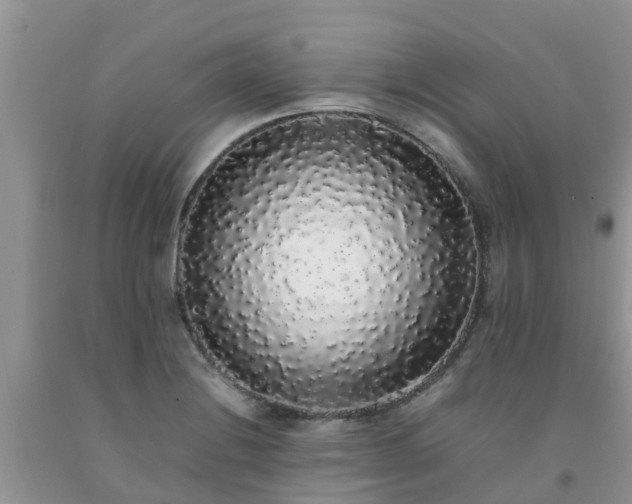 X0000092061228200709191134