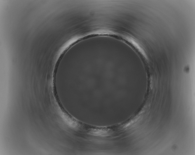 X0000092061229200709191134