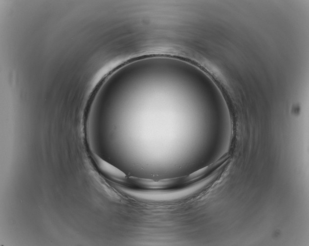 X0000092061230200709191134